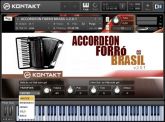 ACCORDEON FORRÓ BRASIL P/ KONTAKT